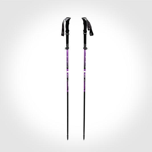 BASTONES Z-COMPACT SE COMPOSITE X2 CARBON